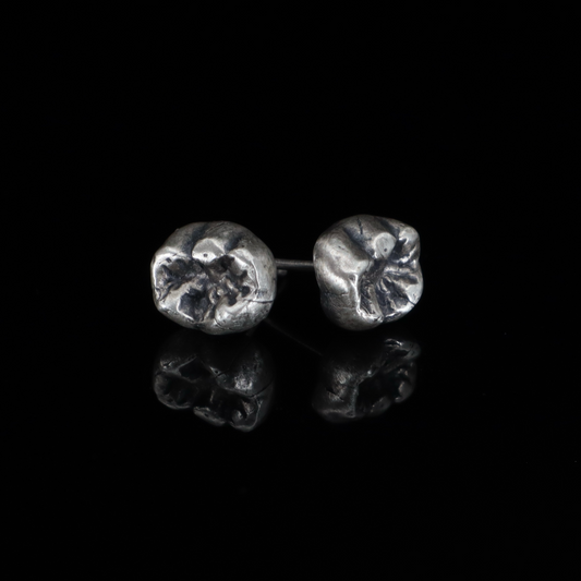 Baby Tooth Studs