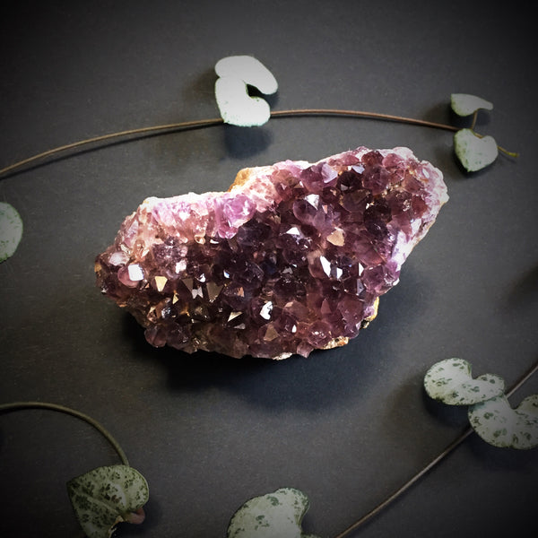 Amethyst Cluster VI
