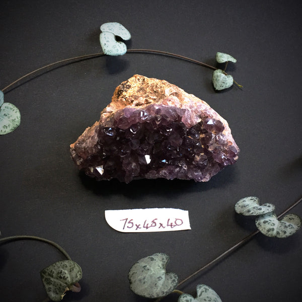 Amethyst Cluster VI