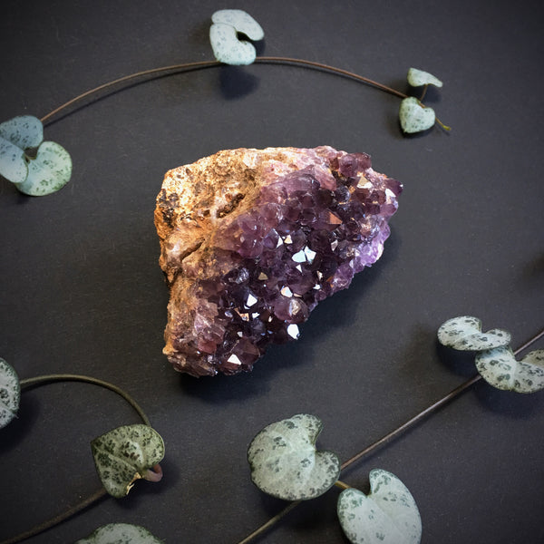 Amethyst Cluster VI