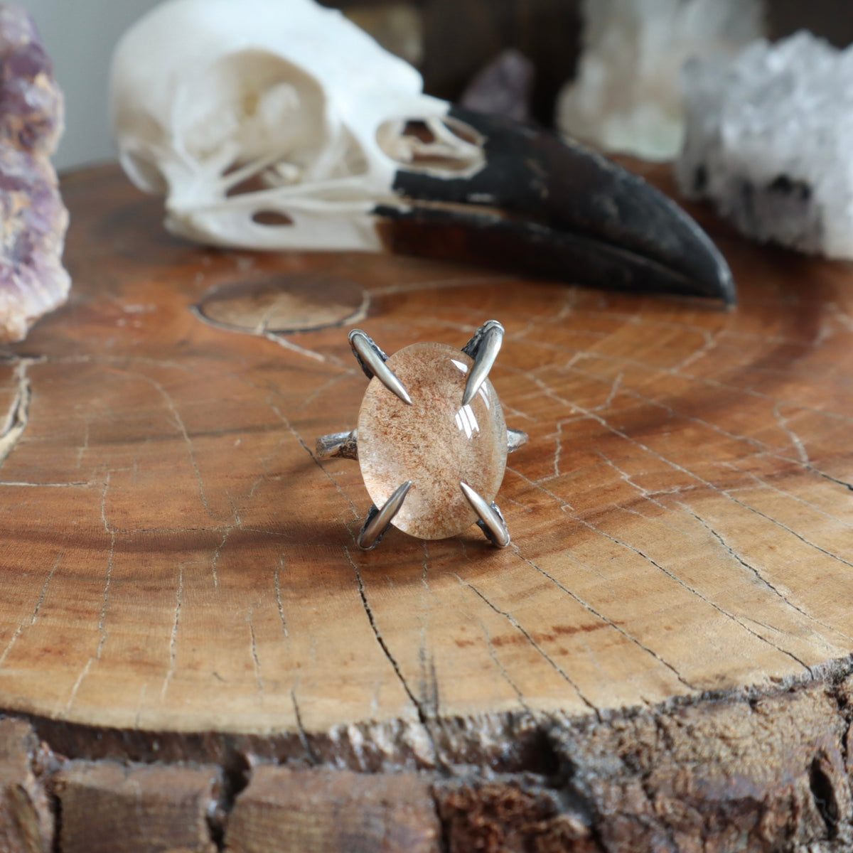 Lunarscape Lodolite Bone Ring - Size 8.5 - OOAK