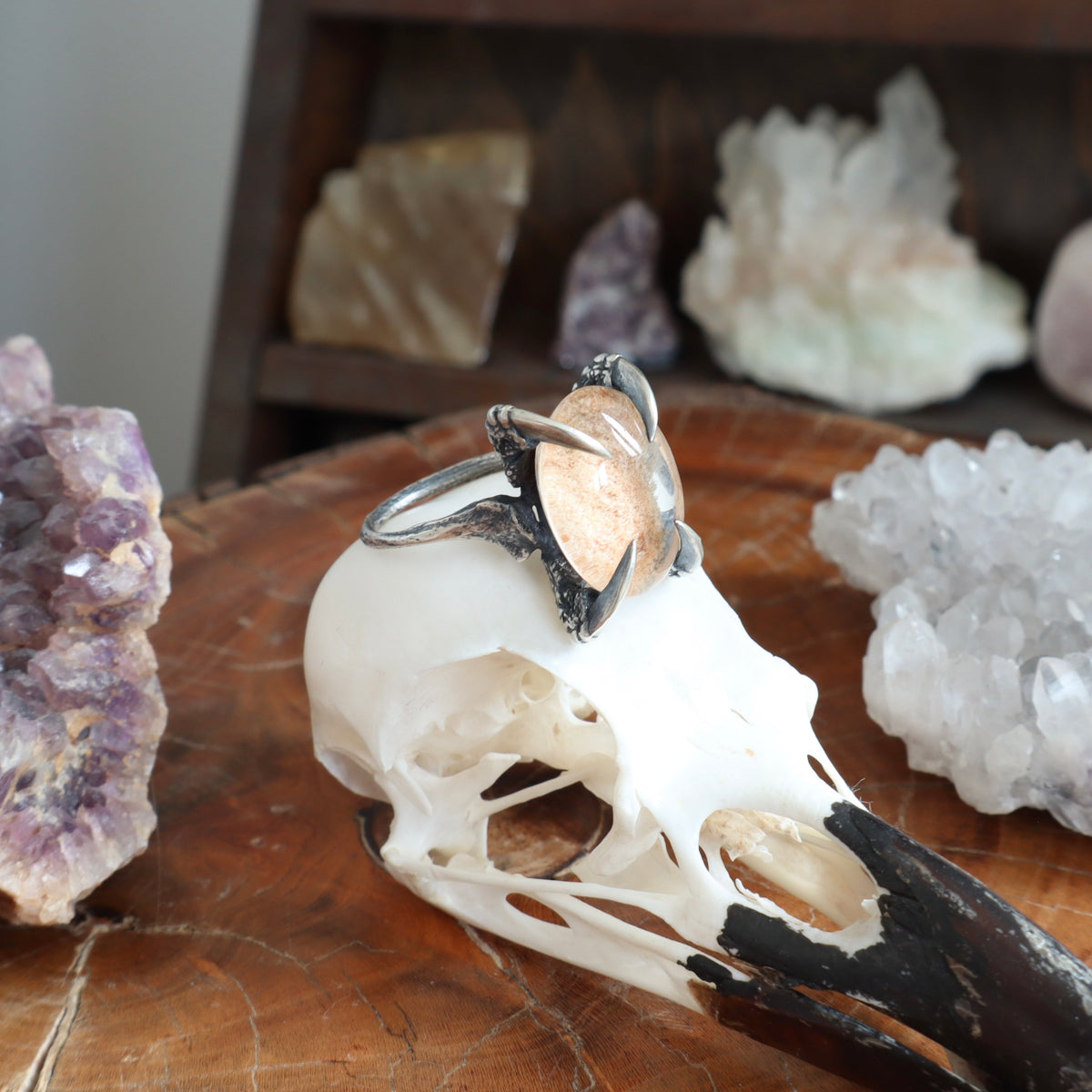 Lunarscape Lodolite Bone Ring - Size 8.5 - OOAK