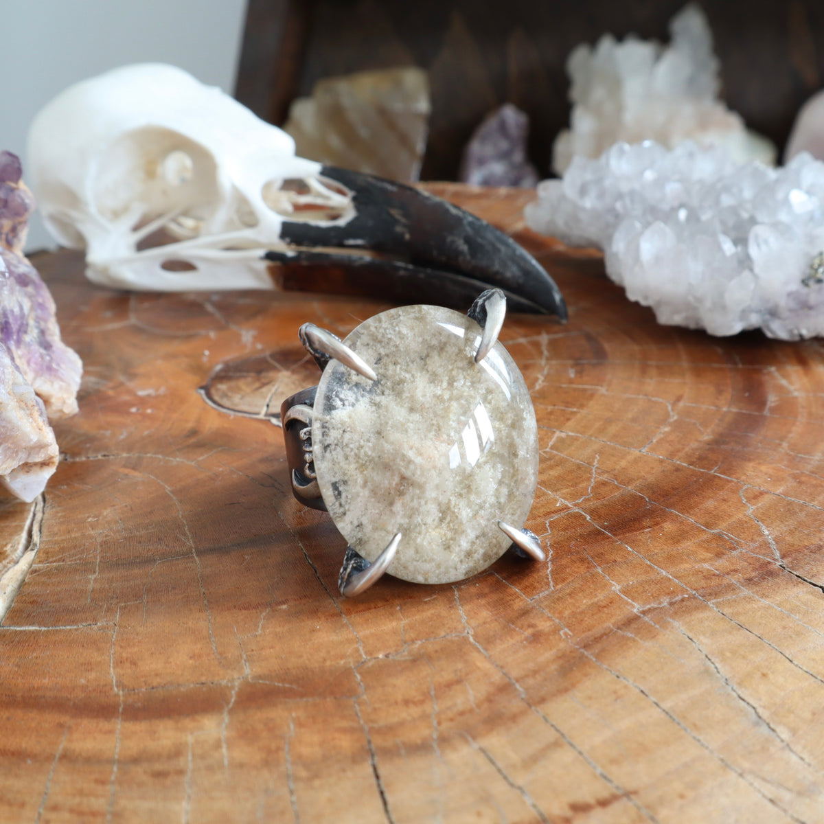 Lunarscape Ring - Size 10.5 - OOAK - Lodolite