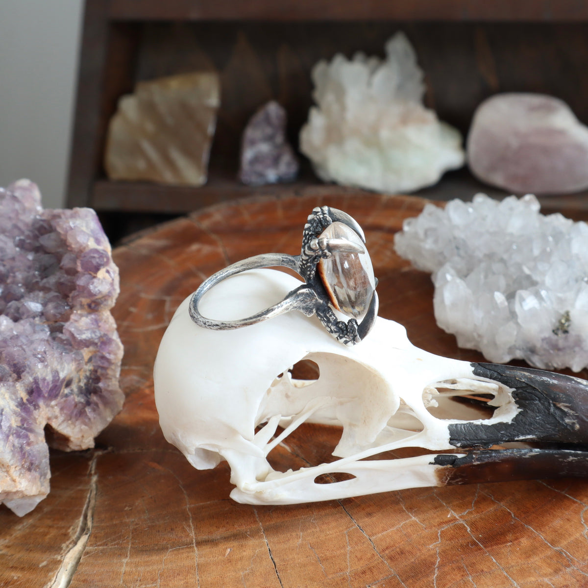 Lunarscape Lodolite Bone Ring - Size 8.5 - OOAK