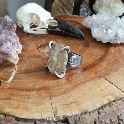Lunarscape Ring - Size 10.5 - OOAK - Lodolite
