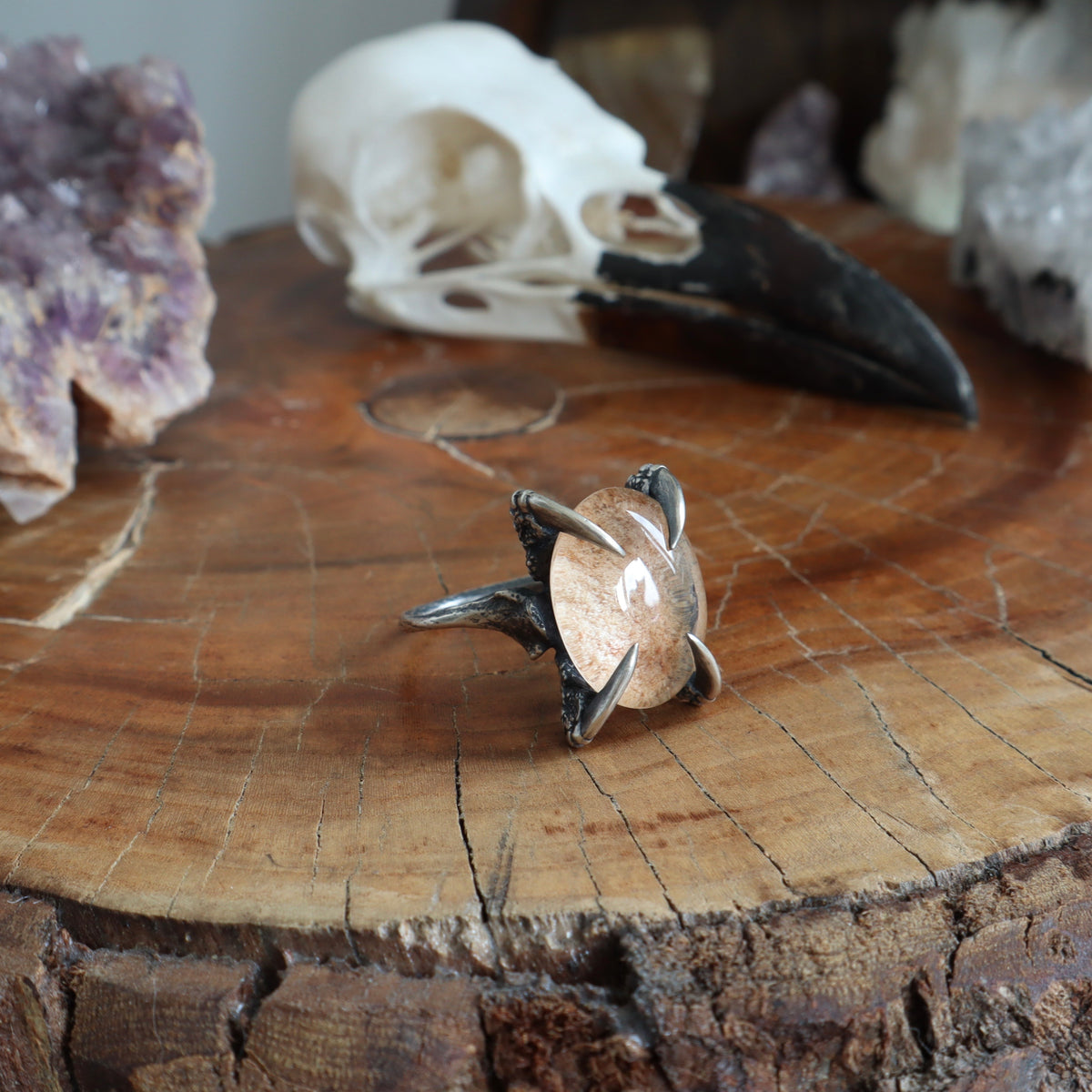 Lunarscape Lodolite Bone Ring - Size 8.5 - OOAK