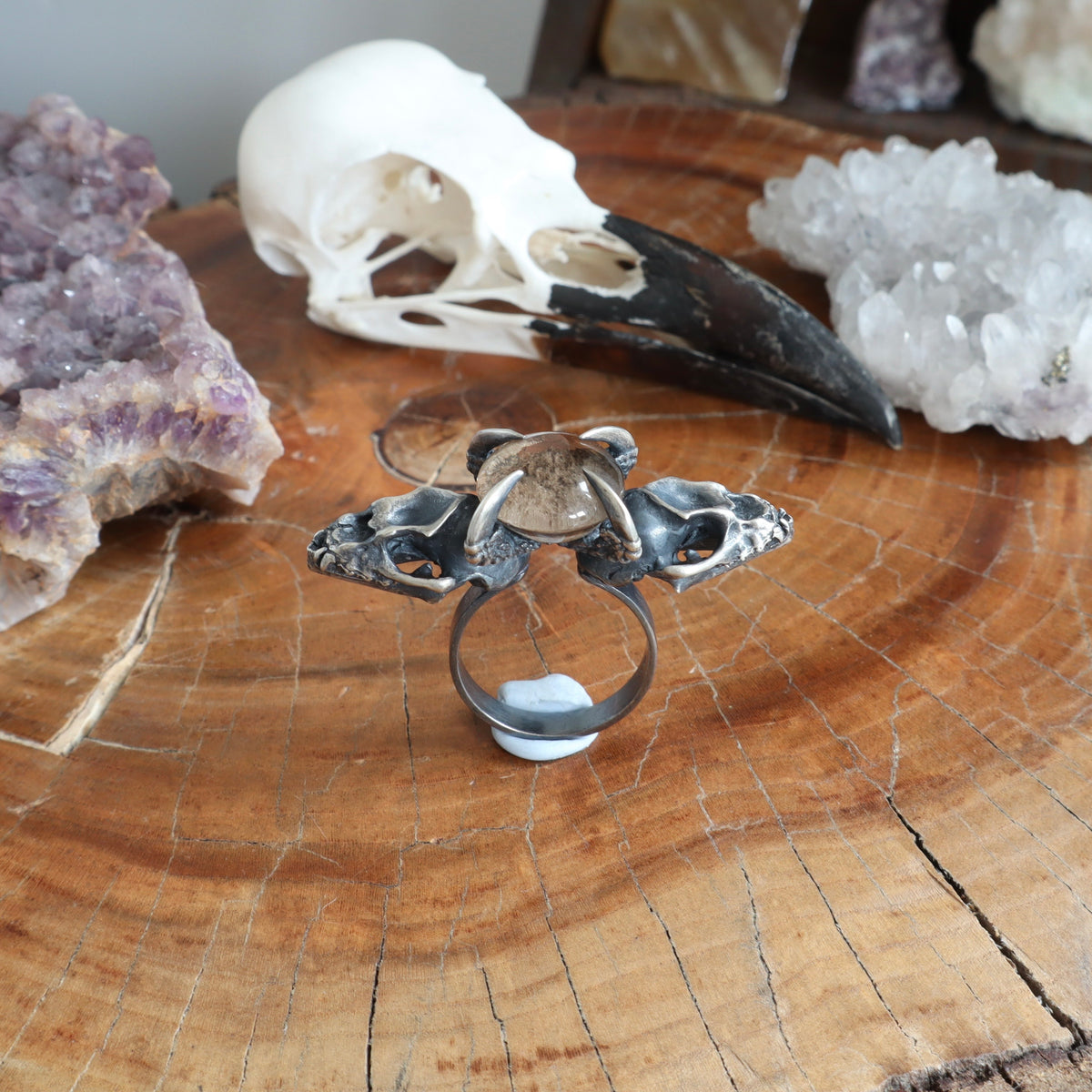 Lunarscape Bat Ring with Lodolite - Size 8.5 - OOAK