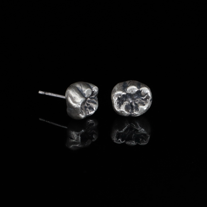 Baby Tooth Studs