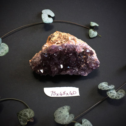 Amethyst Cluster VI