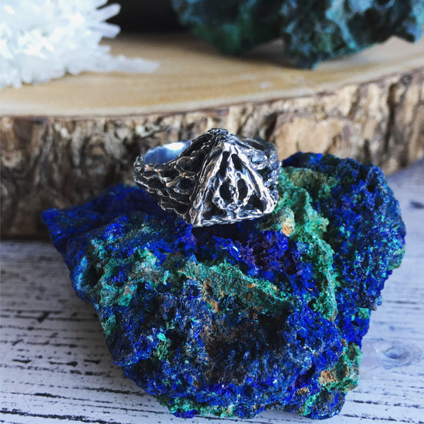 LAST ONE - Deathly Hallows “In to the Forest” Ring