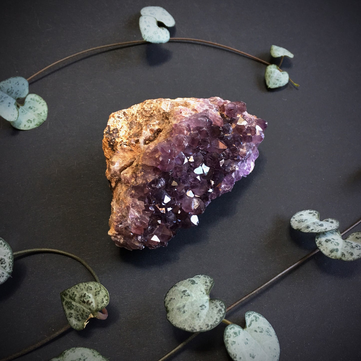 Amethyst Cluster VI