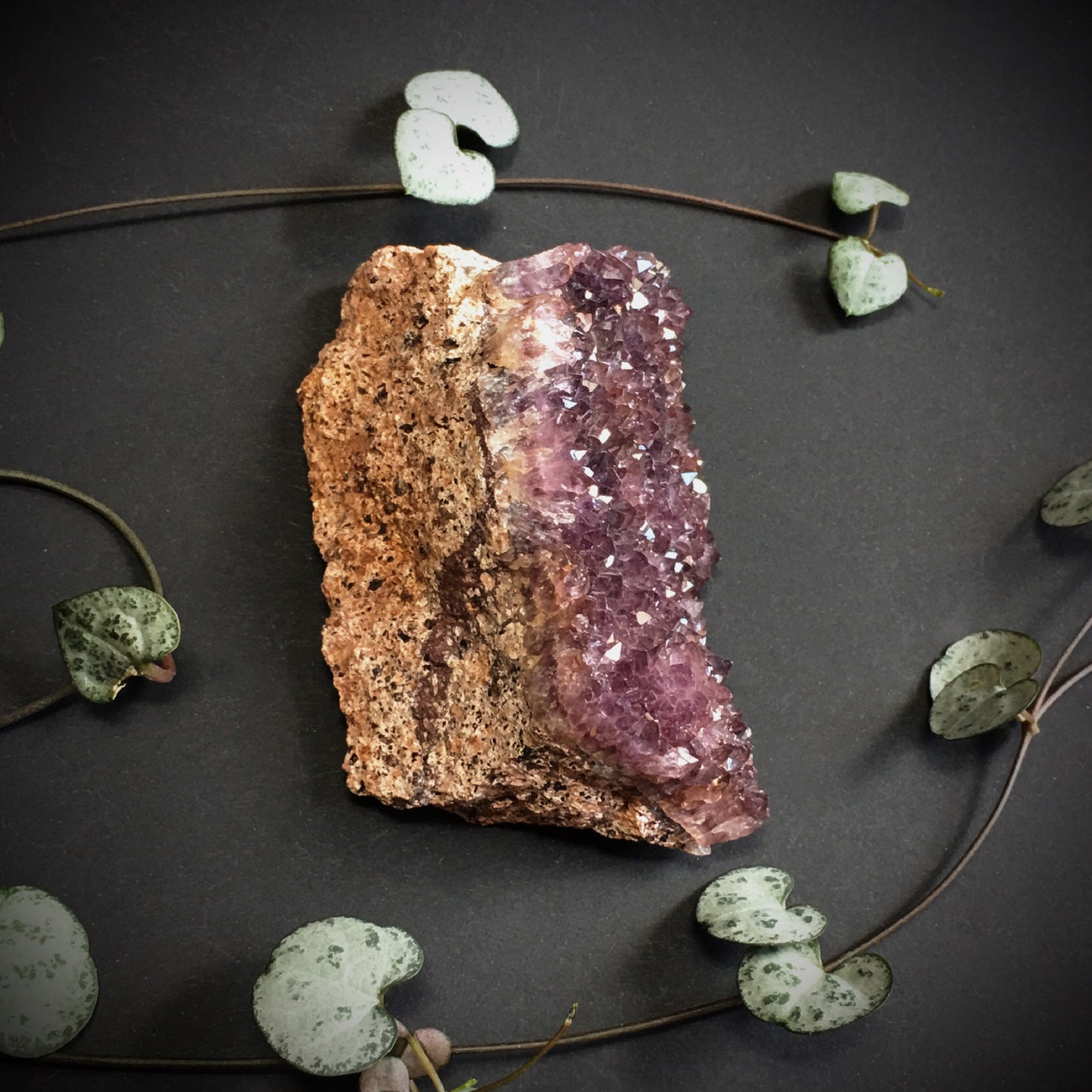 Amethyst Cluster III